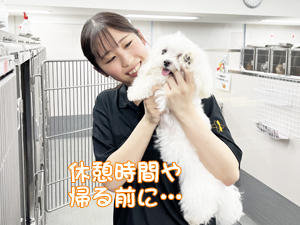 ドッグパークルームの生徒とモデル犬♪